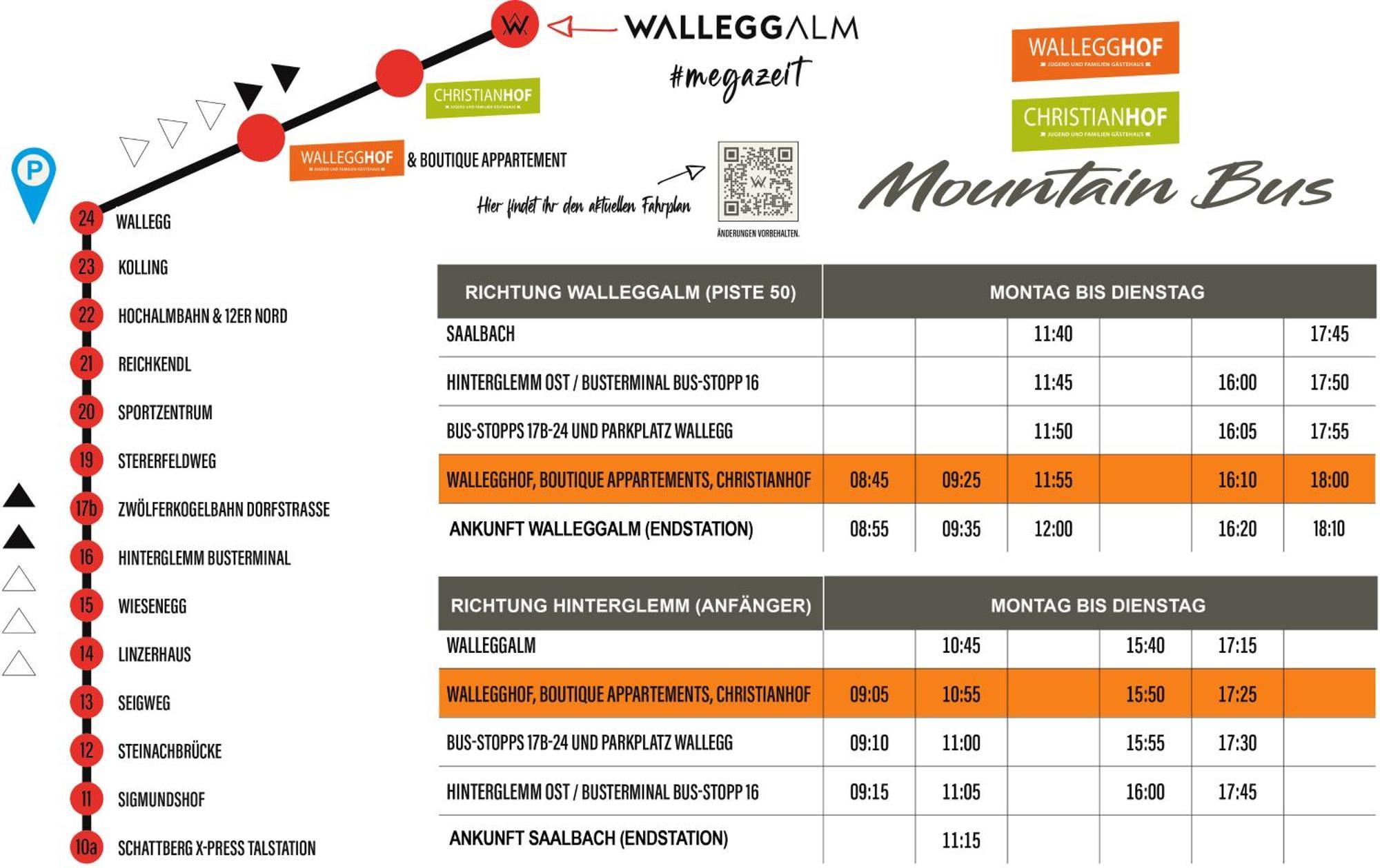Ski In-Ski Out - Gaestehaeuser Saalbach-Hinterglemm - Wallegghof Christianhof Eksteriør bilde